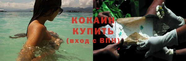 ПСИЛОЦИБИНОВЫЕ ГРИБЫ Аркадак