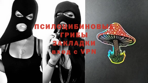 ПСИЛОЦИБИНОВЫЕ ГРИБЫ Аркадак